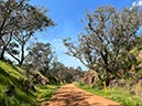 %_tempFileNameAus07-railway%20trail-03%