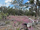 %_tempFileNameAus07-railway%20trail-23%