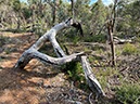 %_tempFileNameAus07-railway%20trail-24%