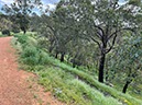 %_tempFileNameAus07-railway%20trail-27%