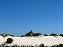 %_tempFileNameAus10-Joondalup-05%