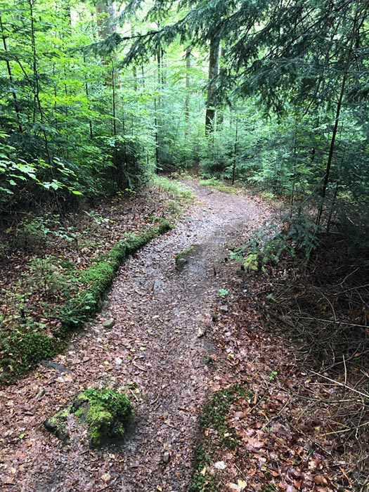 %_tempFileName05-Schwarzenbach-19%