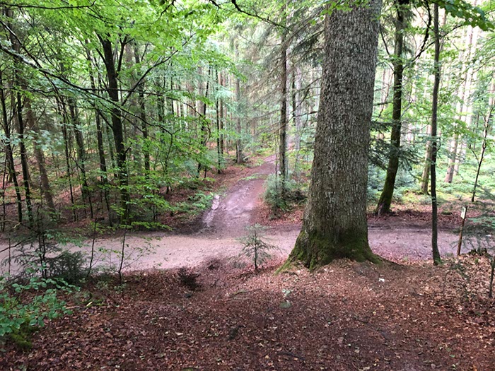 %_tempFileName05-Schwarzenbach-20%