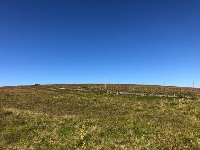 %_tempFileName20-Feldberg-42%