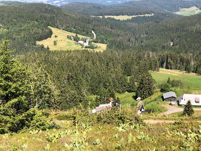 %_tempFileName20-Feldberg-50%