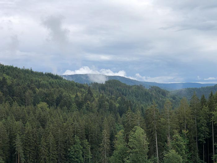 %_tempFileName05-Schwarzenbach-05%