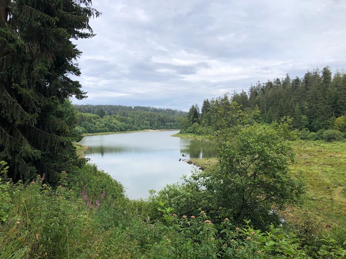 %_tempFileName05-Schwarzenbach-11%