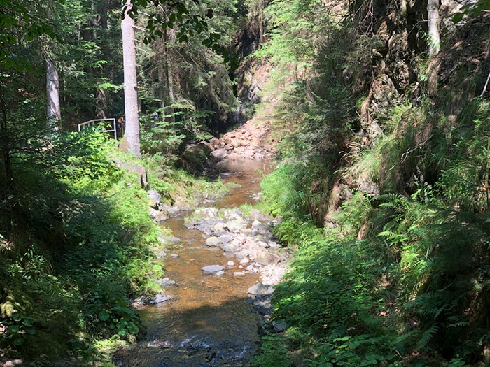 %_tempFileName21-Ravenna%20schlucht-16%