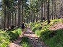 %_tempFileName03-Darmstadter%20hutte-07%