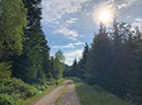 %_tempFileName05-Schwarzenbach-14%