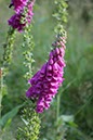 %_tempFileName05-Schwarzenbach-18%