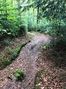 %_tempFileName05-Schwarzenbach-19%