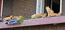 %_tempFileName09-Zuflucht-02%