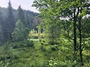 %_tempFileName09-Zuflucht-10%