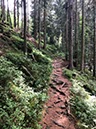 %_tempFileName09-Zuflucht-12%