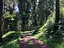 %_tempFileName10-Alexanderschanze-02%