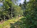 %_tempFileName12-Melkereikopf-07%