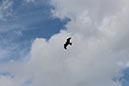 %_tempFileName16-Rondom%20Loffingen-07%