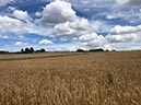 %_tempFileName16-Rondom%20Loffingen-08%