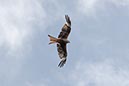 %_tempFileName16-Rondom%20Loffingen-12%