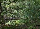 %_tempFileName17-Rotenbachschluft-08%