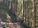 %_tempFileName17-Rotenbachschluft-31%