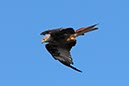 %_tempFileName18-Hirtenpfad-02_edTMP-1%