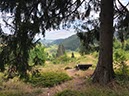 %_tempFileName18-Hirtenpfad-09%