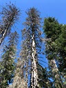 %_tempFileName20-Feldberg-21%