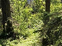 %_tempFileName20-Feldberg-22%