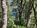 %_tempFileName20-Feldberg-25%