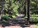 %_tempFileName20-Feldberg-27%