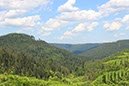 %_tempFileName10-Alexanderschanze-11%