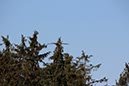 %_tempFileName17-Rotenbachschluft-02%