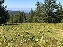 %_tempFileName20-Feldberg-48%